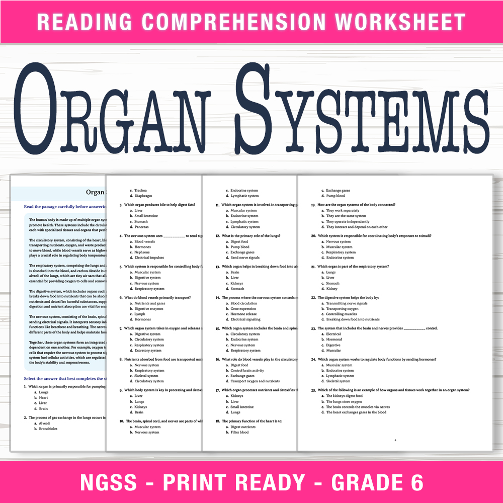 Grade 6 Science worksheet worksheet — 6th Grade Science | Organ Systems Worksheet (PDF + Answer Key) — page 1