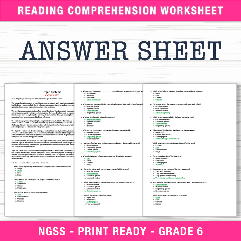 Grade 6 Science worksheet worksheet — 6th Grade Science | Organ Systems Worksheet (PDF + Answer Key) — page 2