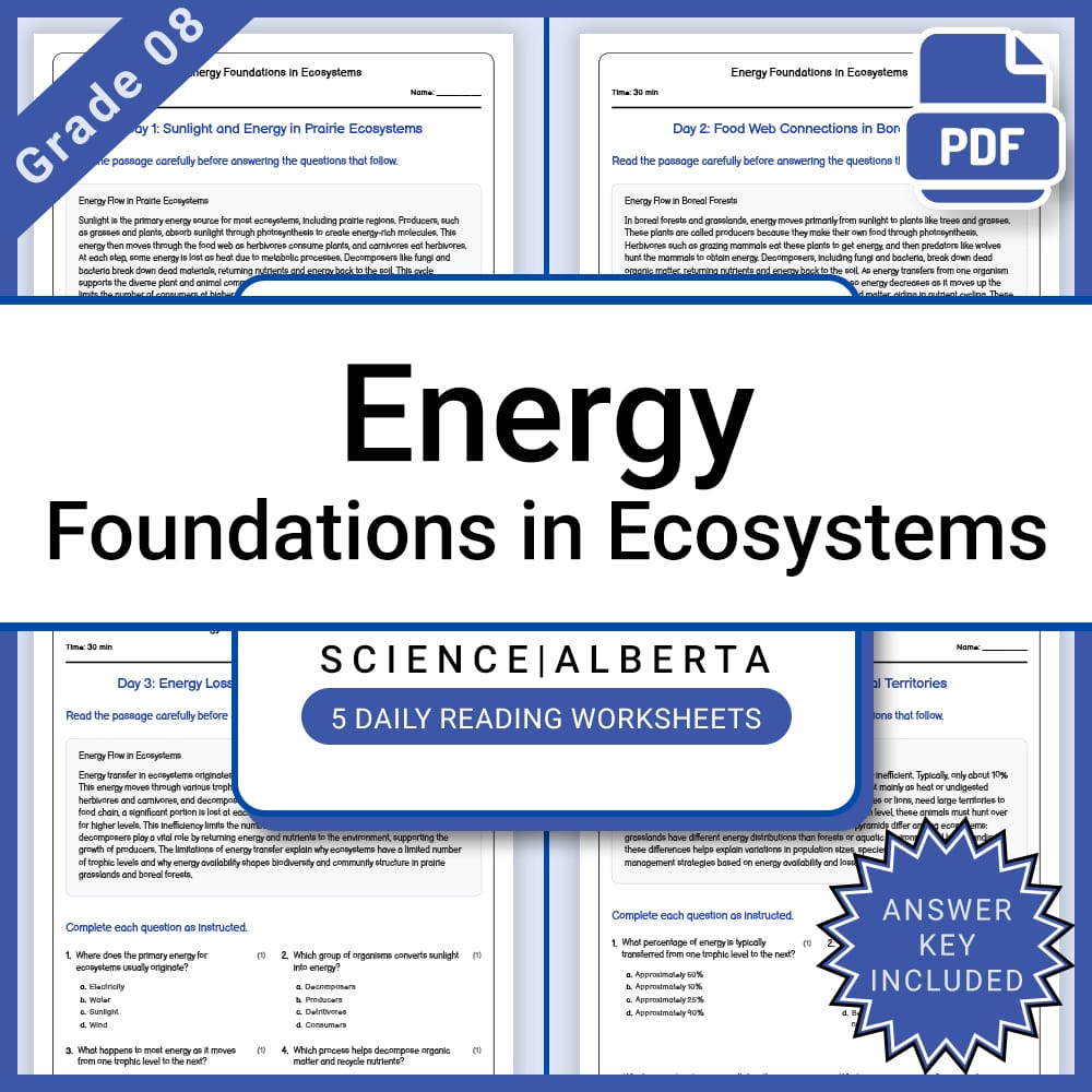 Grade 8 Science Lesson Bundle | Ecosystems, Energy, and Environmental Impact — included worksheet 4