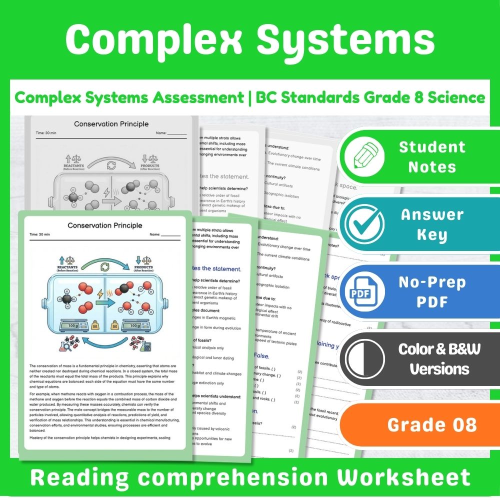 Grade 8 Science Lesson – Reaction Types & Evidence Assessment Bundle — included worksheet 2