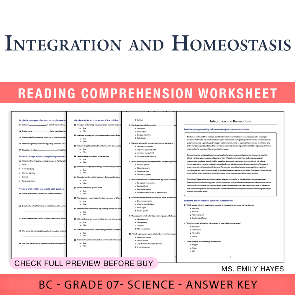 Grade 7 Science worksheet worksheet — 7th Grade Science | Integration and Homeostasis Worksheet (PDF+ Answer Key) — page 1