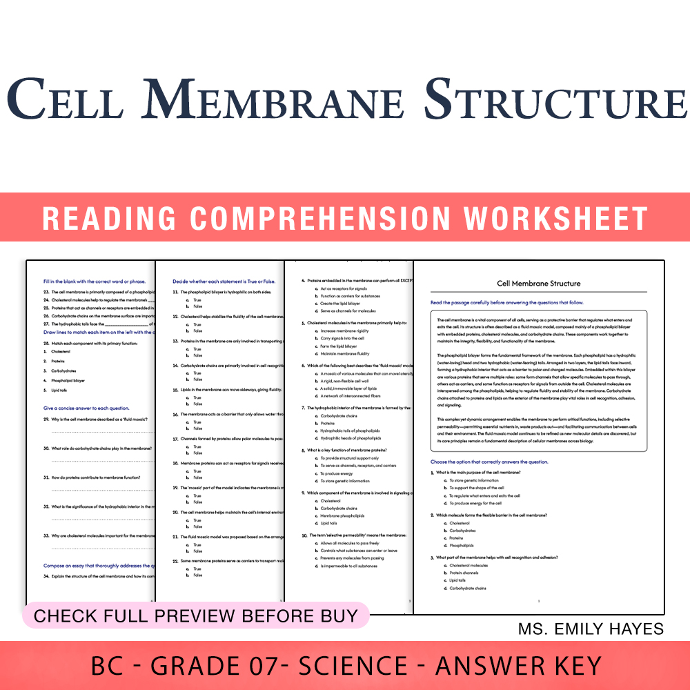Grade 7 Science worksheet worksheet — 7th Grade Science | Cell Membrane Structure Worksheet (PDF+ Answer Key) — page 1