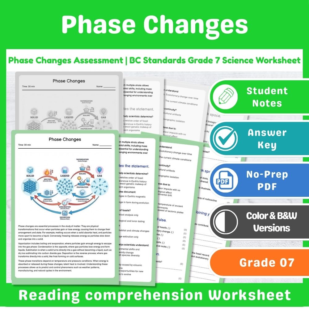 Grade 7 Science Lesson – States of Matter & Reaction Types Assessment Bundle — included worksheet 8