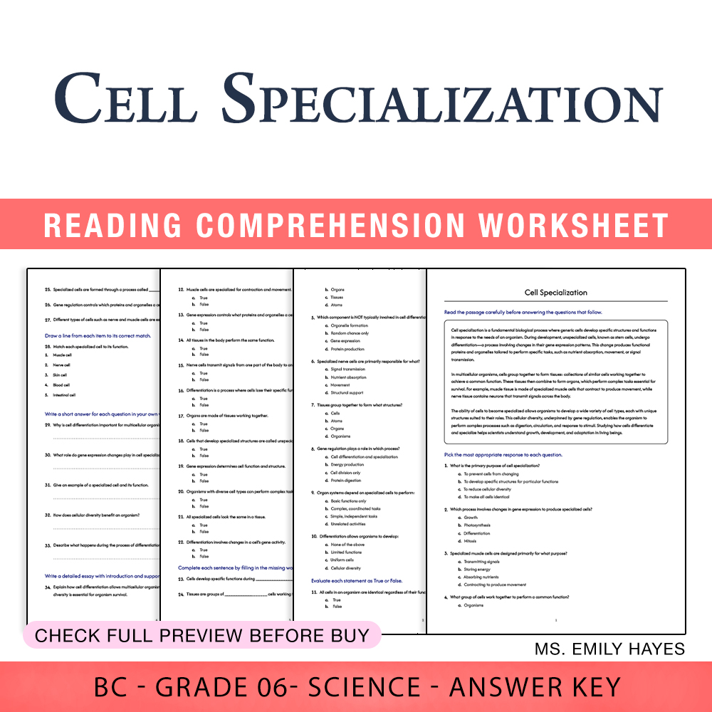 Grade 6 Science worksheet worksheet — 6th Grade Science | Cell Specialization Worksheet (PDF+ Answer Key) — page 1