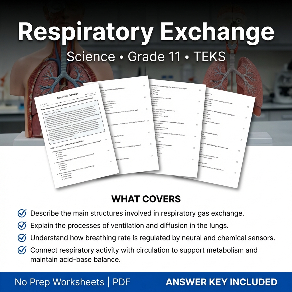 Respiratory Exchange Worksheet for Grade 11 Science TEKS