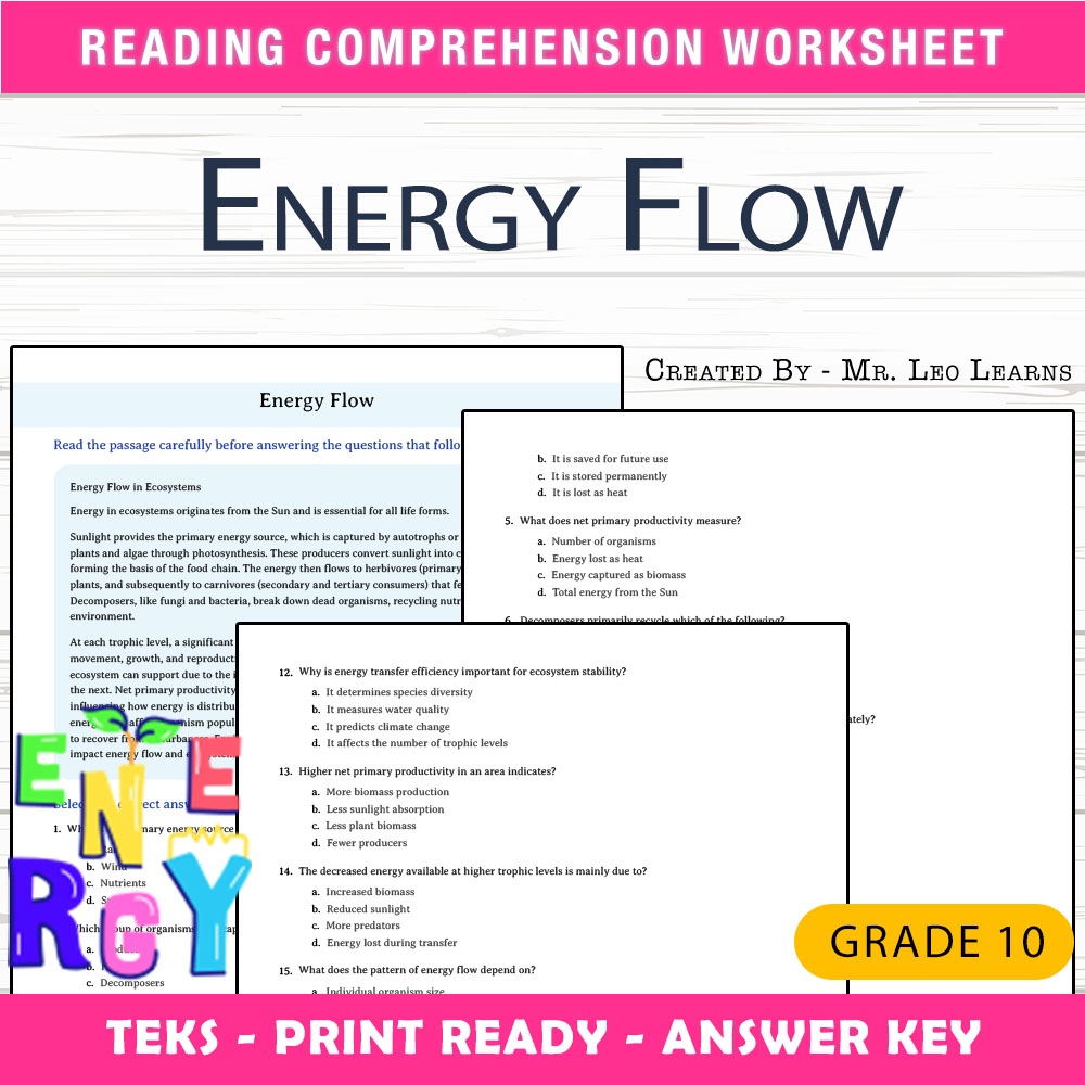 Grade 10 Science worksheet worksheet — Grade 10 Science – Energy Flow Worksheet for Mastery — page 1