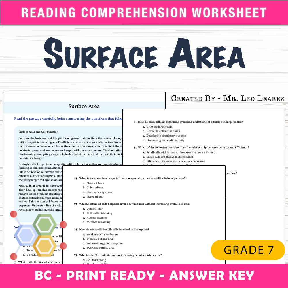 Grade 7 Science worksheet mcq paper worksheet — Grade 7 Science — Surface Area Worksheet MCQ Paper for Mastery — page 1