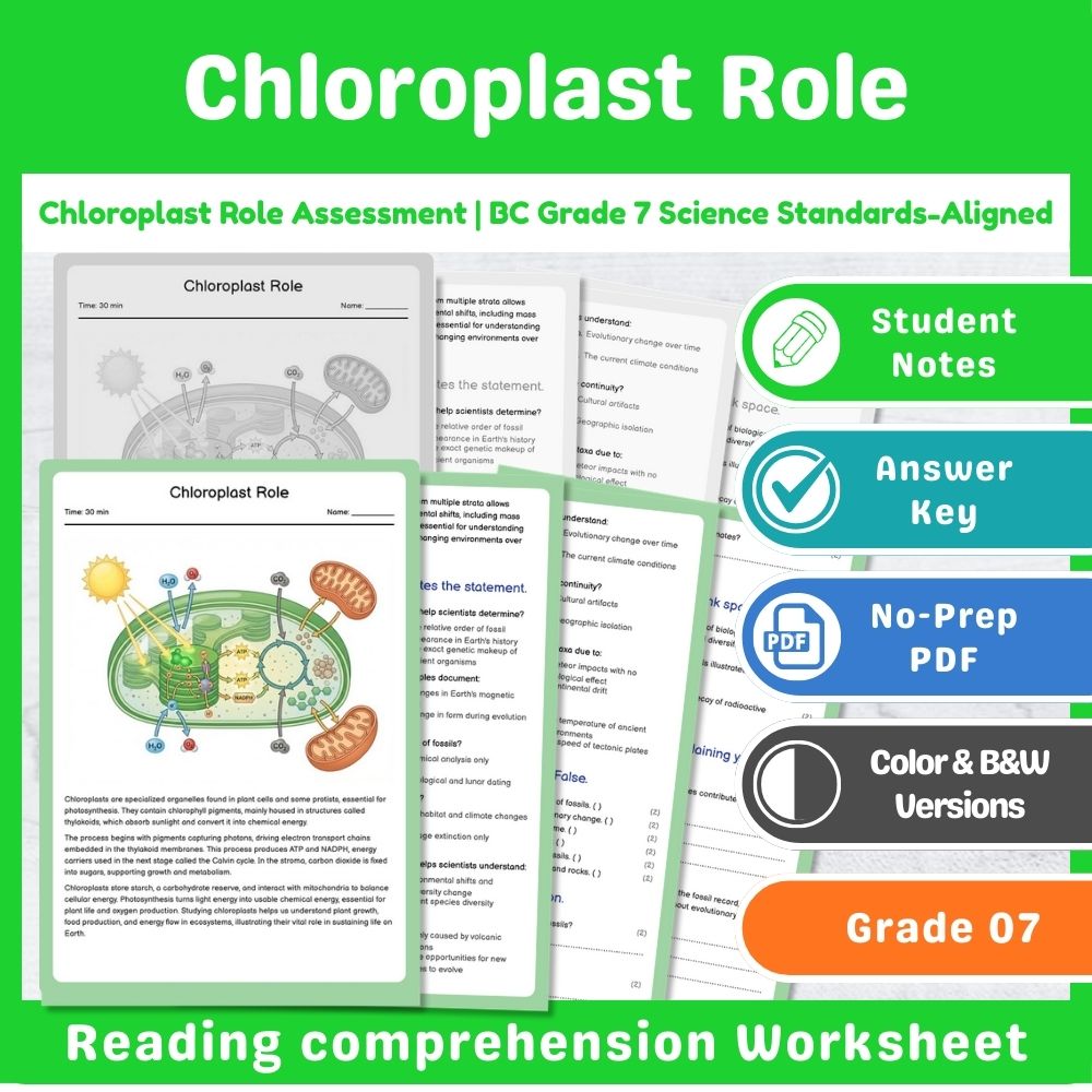 Grade 7 Science | Cell Functions & Organization Assessment – Standards-Aligned — included worksheet 4
