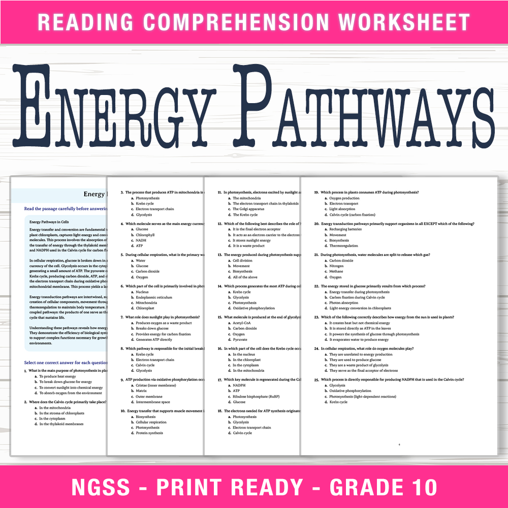 Grade 10 Science worksheet worksheet — Grade 10 Science | Energy Pathways Worksheet (PDF + Answer Key) — page 1