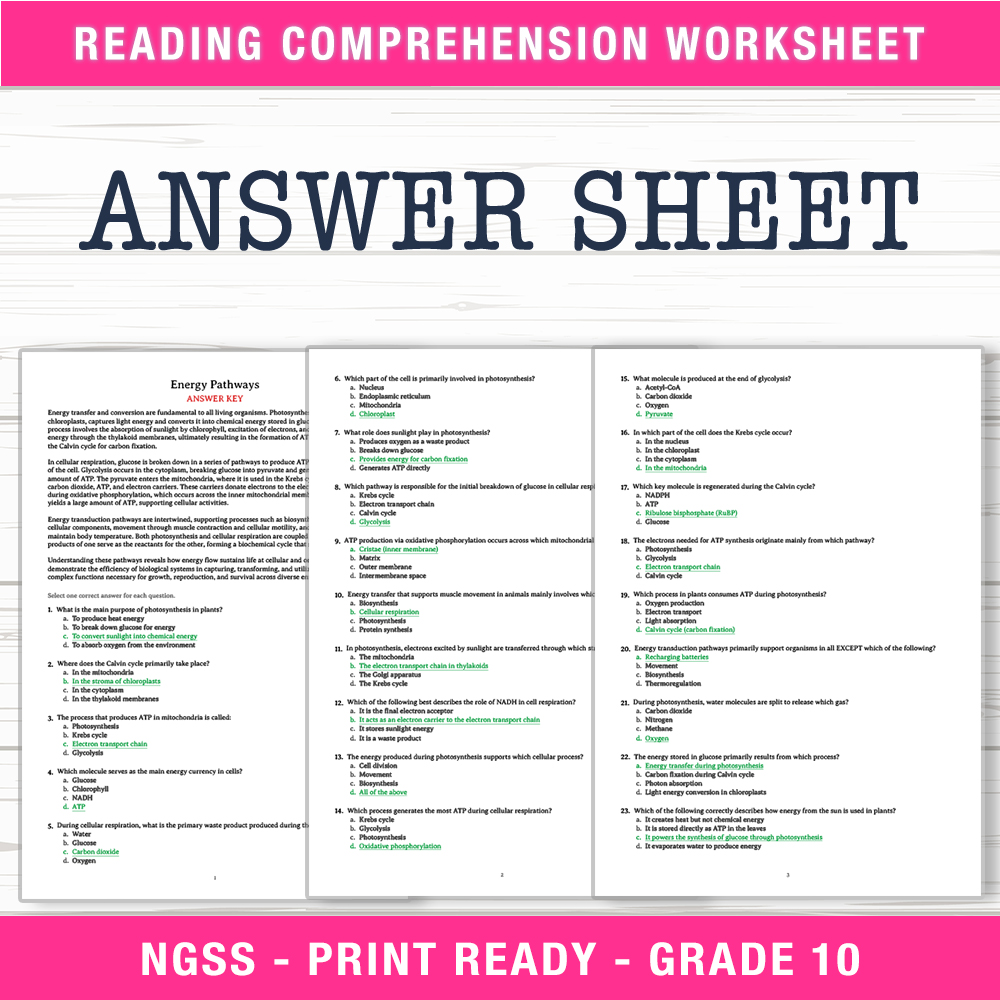 Grade 10 Science worksheet worksheet — Grade 10 Science | Energy Pathways Worksheet (PDF + Answer Key) — page 2