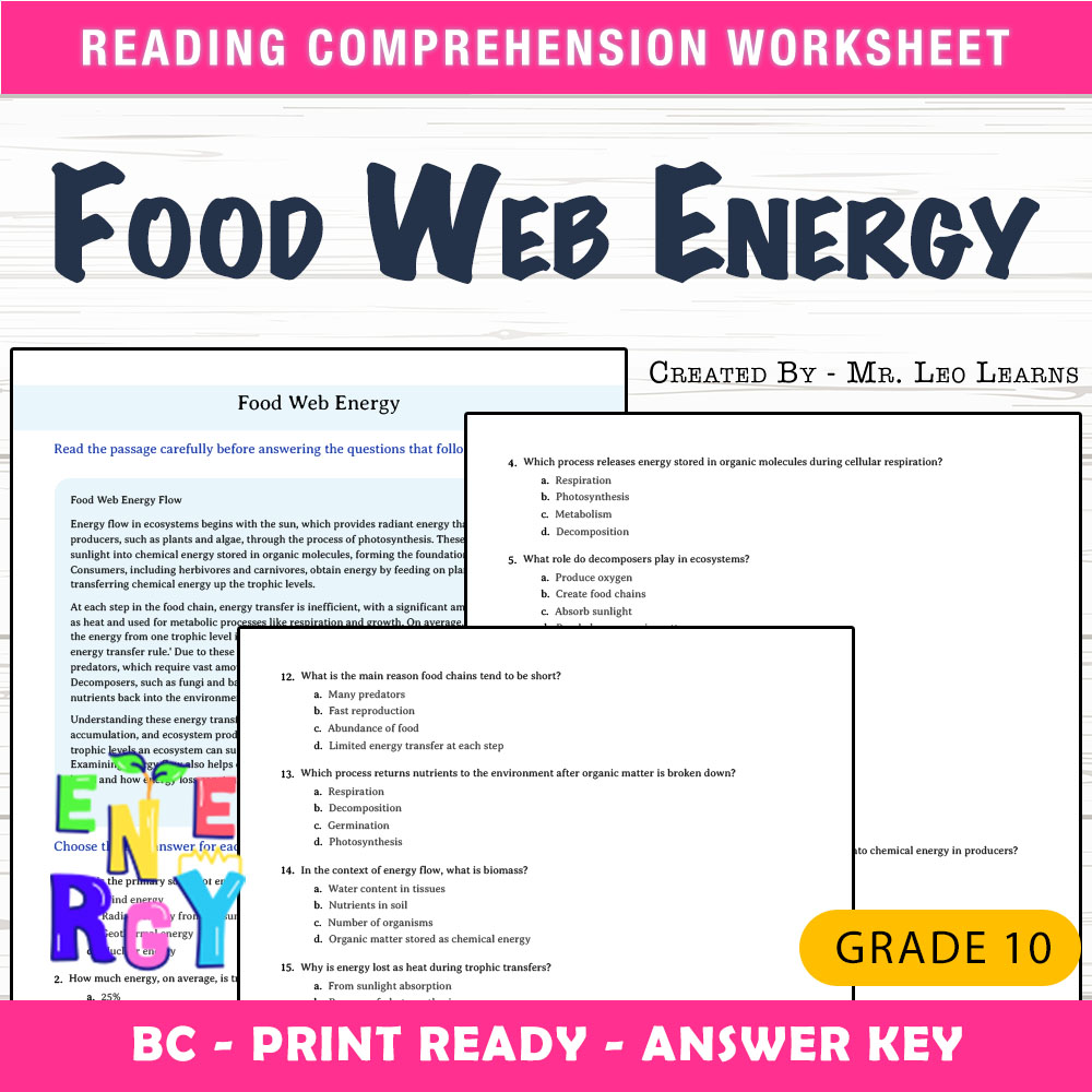 Grade 10 Science worksheet mcq paper worksheet — Grade 10 Science — Food Web Energy Worksheet for Mastery — page 1