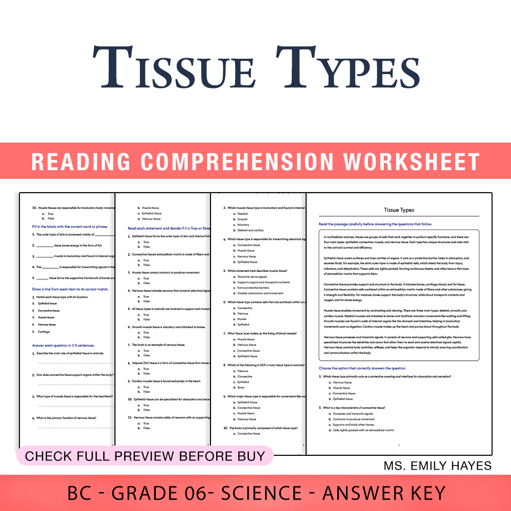 Grade 6 Science worksheet worksheet — 6th Grade Science | Tissue Types Worksheet (PDF+ Answer Key) — page 1