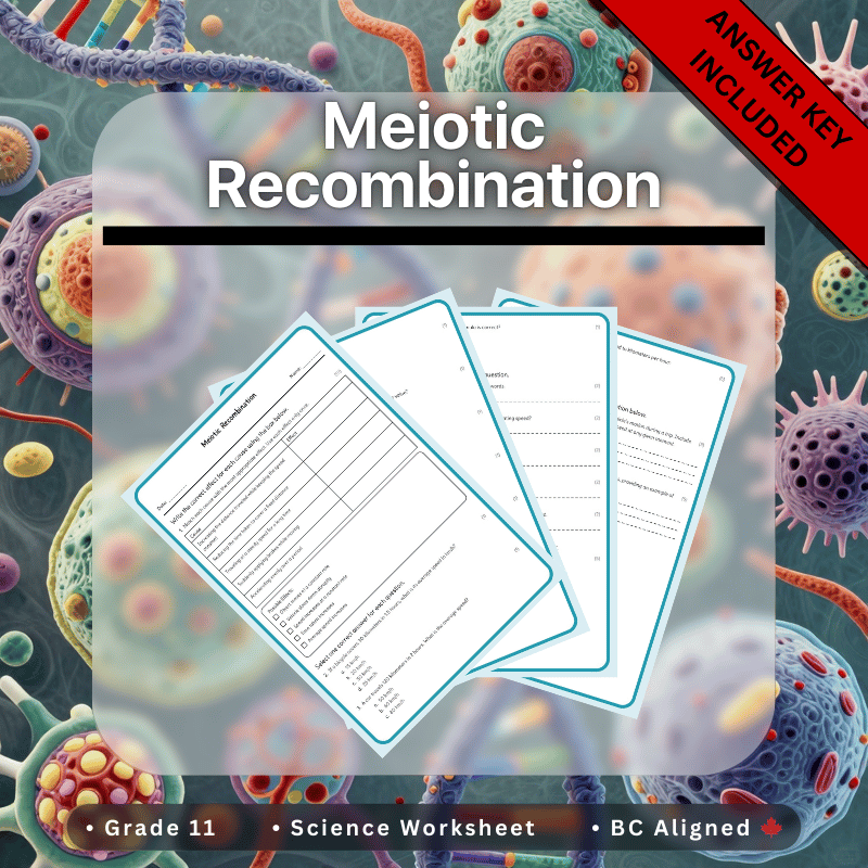 Grade 11 Science science 1 worksheet — Grade 11 Science | Meiotic Recombination Worksheet (Answer Key) – BC Standards