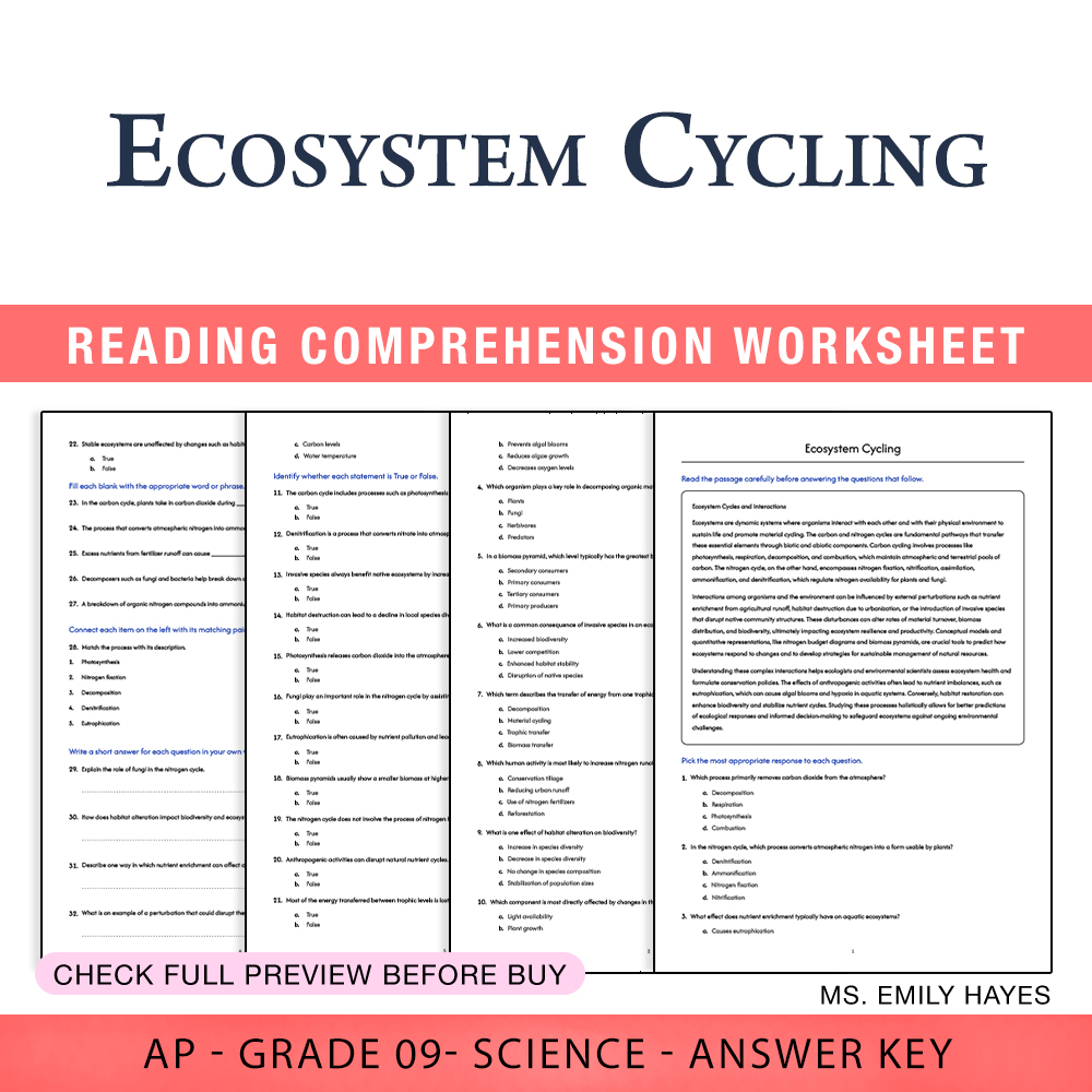 Grade 9 Science worksheet worksheet — 9th Grade Science | Ecosystem Cycling Worksheet (PDF+ Answer Key) — page 1