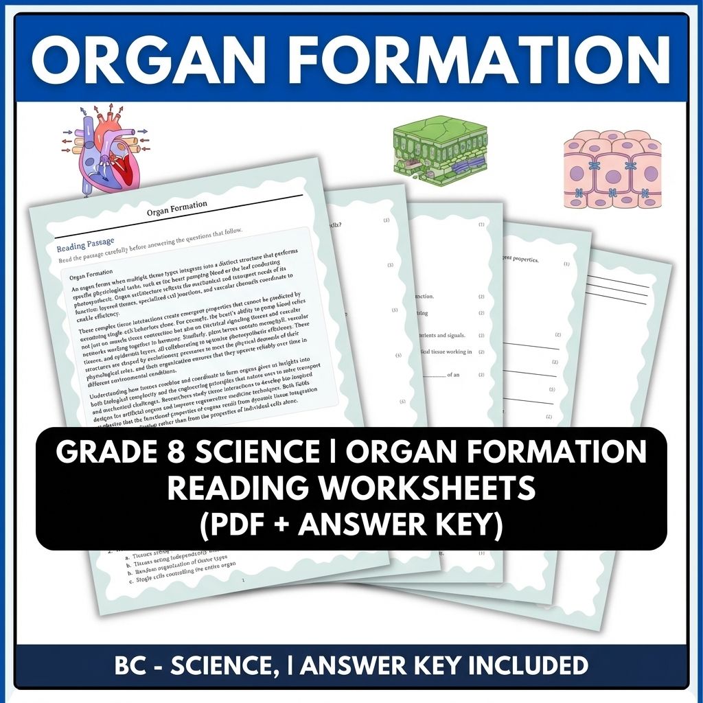 Grade 8 Science | Organ Formation Reading Worksheets (PDF + Answer Key)