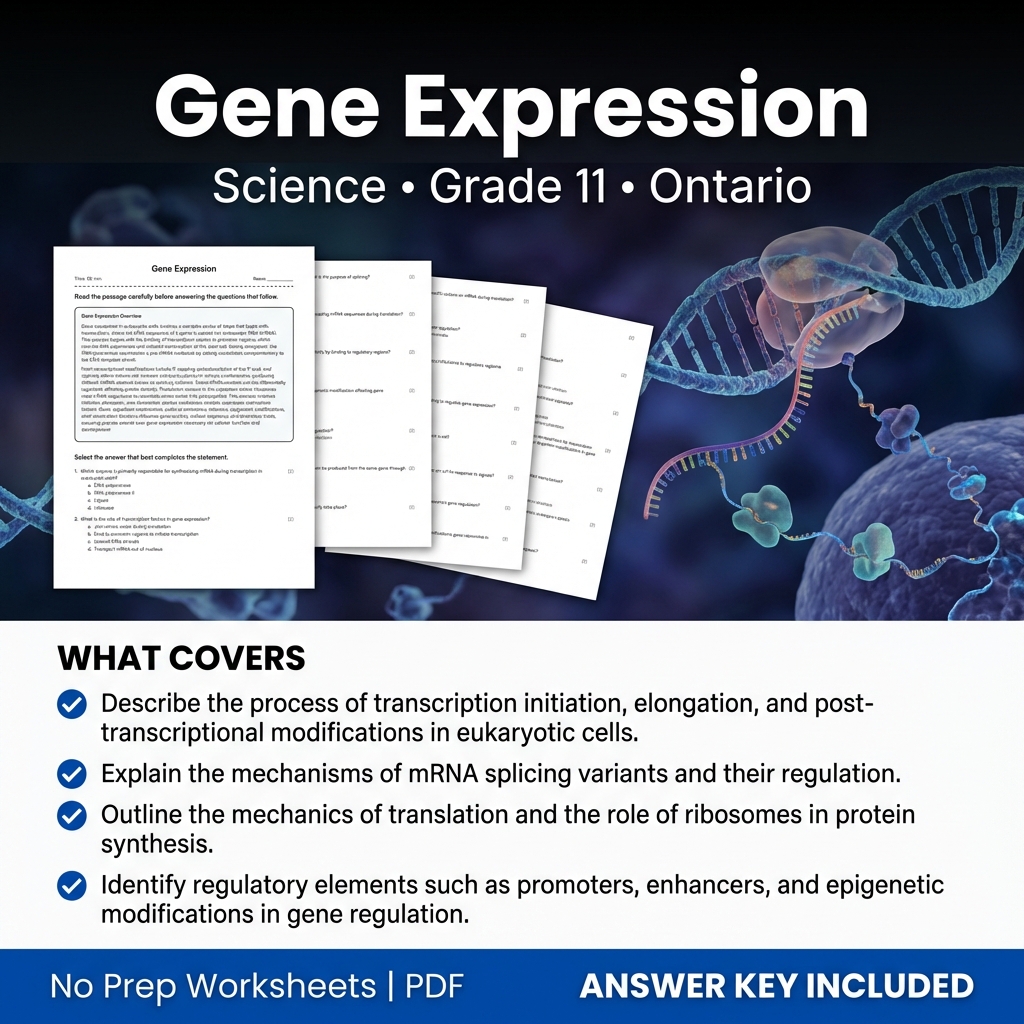 Gene Expression Worksheet for Grade 11 Science | Ontario Standards