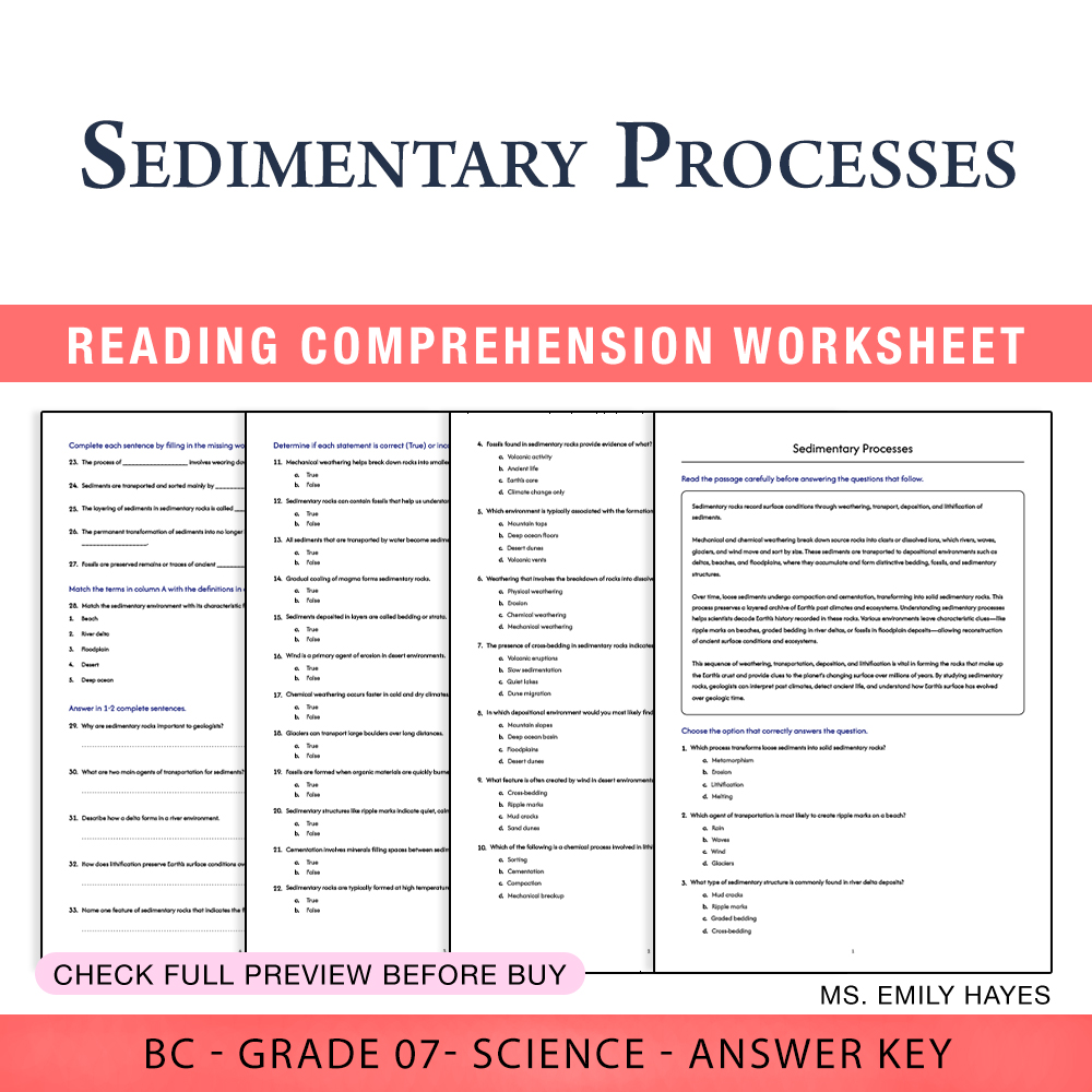 Grade 7 Science worksheet worksheet — 7th Grade Science | Sedimentary Processes Worksheet (PDF+ Answer Key) — page 1