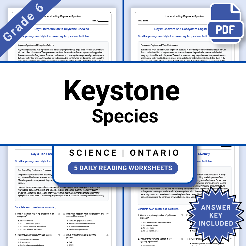 Grade 6 Science Biodiversity Lesson Bundle – Ecosystems and Conservation — included worksheet 6