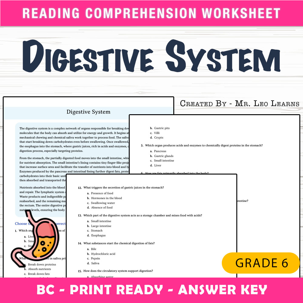 Grade 6 Science worksheet mcq paper worksheet — Grade 6 Science | Digestive System MCQ Worksheet for Mastery — page 1