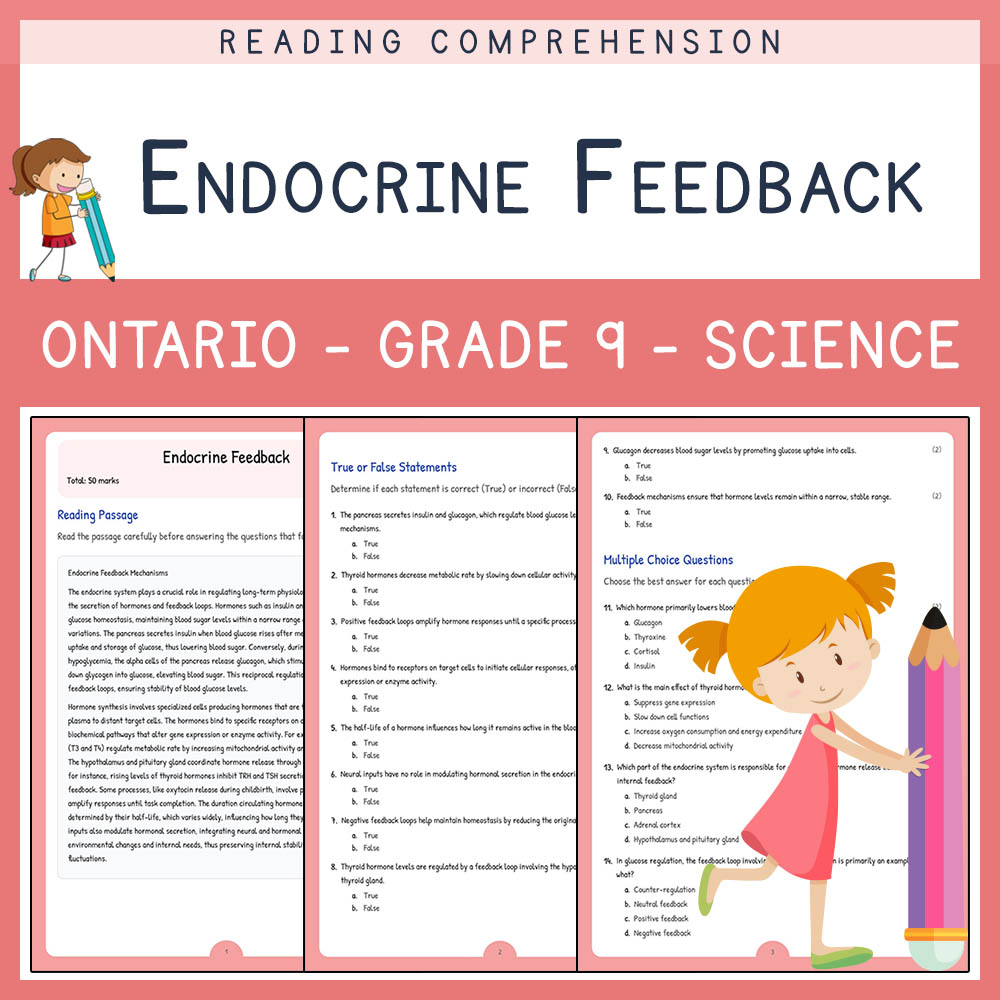 Grade 9 Science worksheet elena worksheet — Grade 9 Science | Endocrine Feedback Worksheet | Ontario Standard — page 1