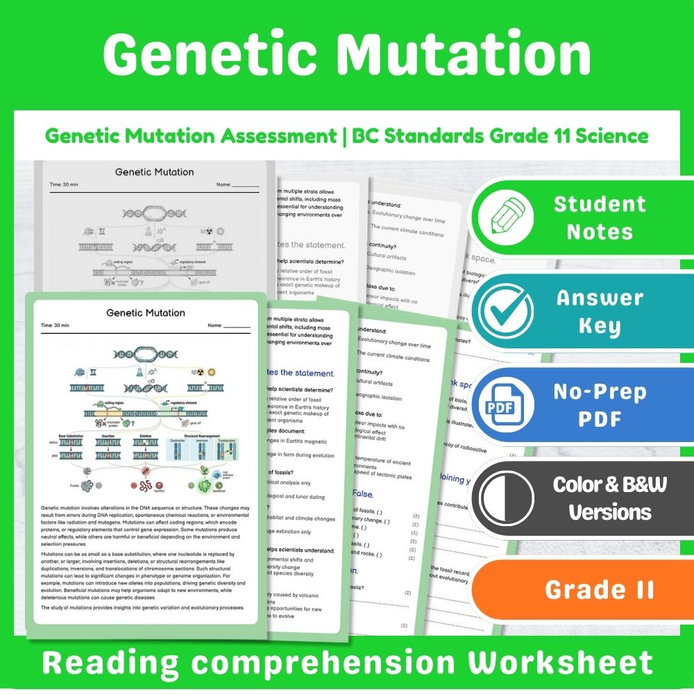 Grade 11 Science Lesson Assessment Bundle | Photosynthesis & Genetics — included worksheet 5