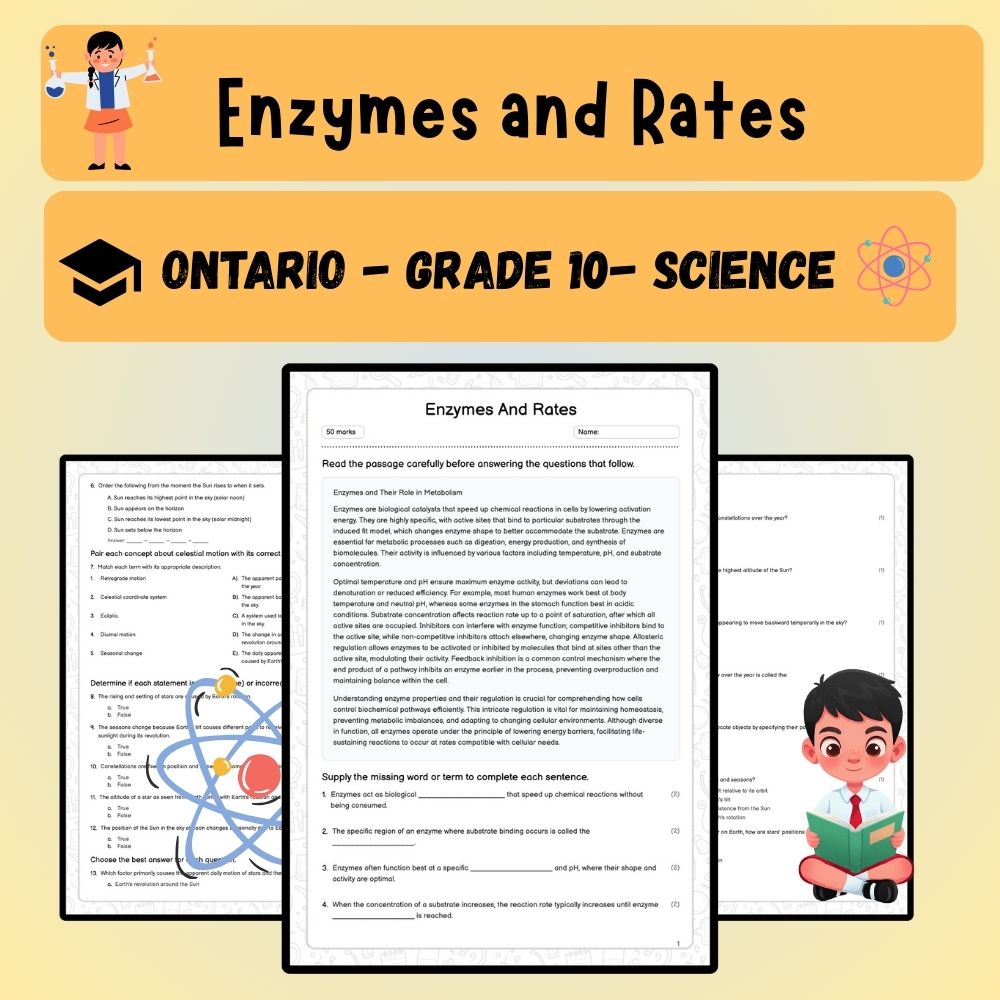Grade 10 Science worksheet worksheet — Grade 10 Science | Enzymes and Rates Worksheet (Worksheet + Answer Key) – Ontario S…