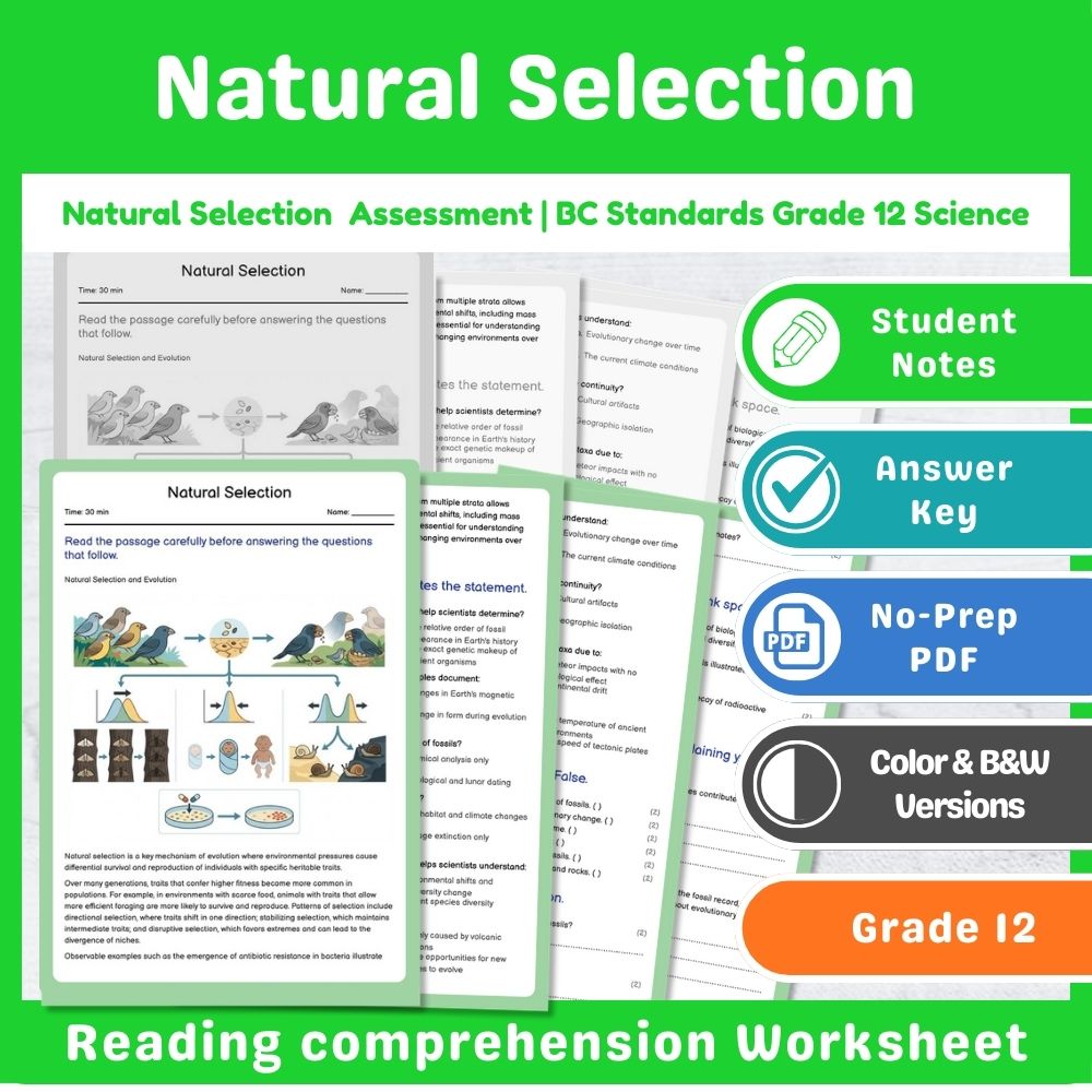 Grade 12 Science Mini Bundle – Genetics & Evolution Assessment Pack — included worksheet 4