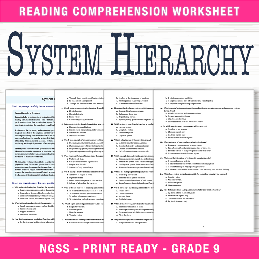 Grade 9 Science worksheet worksheet — Grade 9 Science – System Hierarchy Worksheet (PDF + Answer Key) — page 1