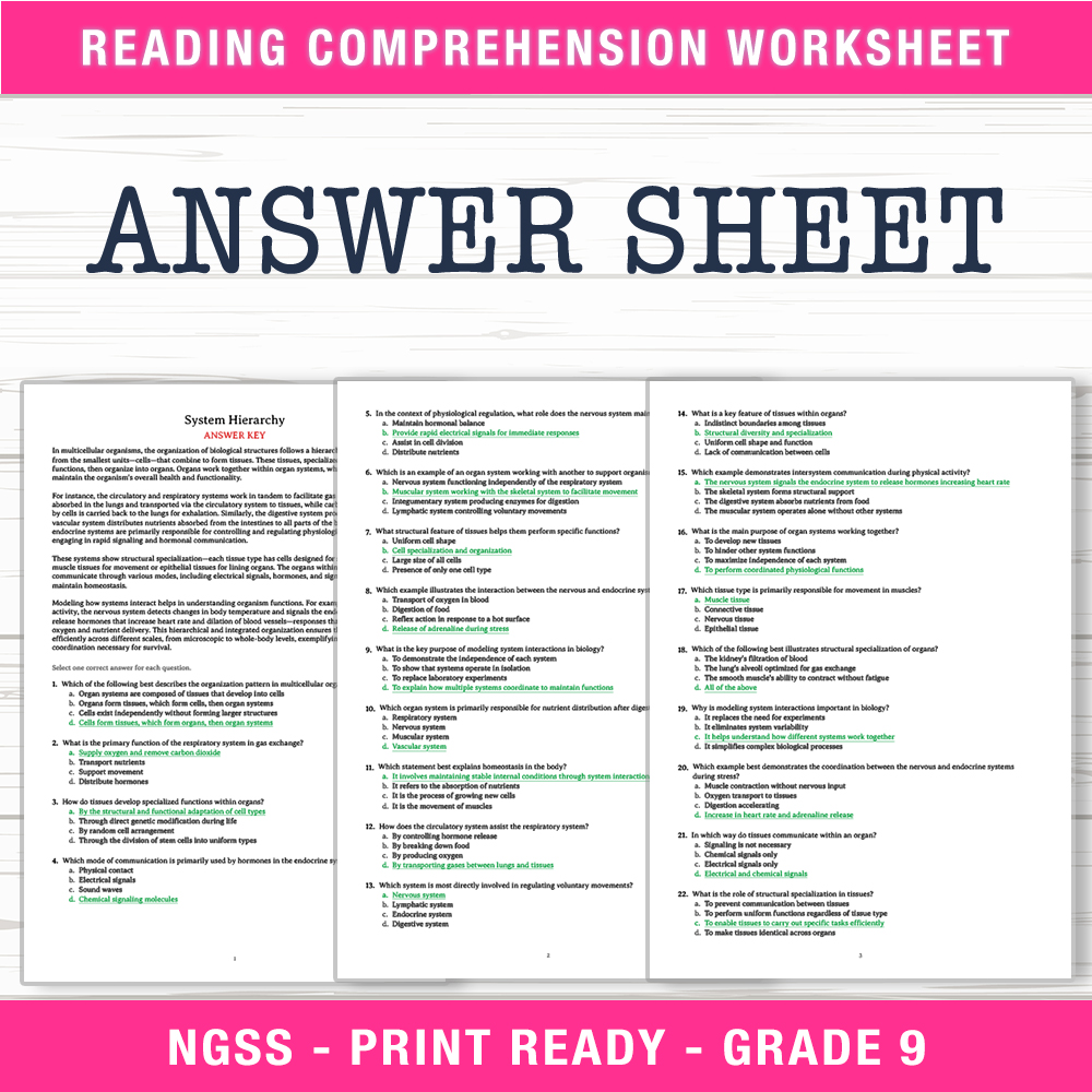 Grade 9 Science worksheet worksheet — Grade 9 Science – System Hierarchy Worksheet (PDF + Answer Key) — page 2