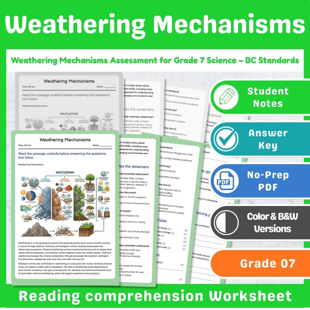 Grade 7 Science Lesson – Earth Processes Assessment & Landforms Bundle — included worksheet 4