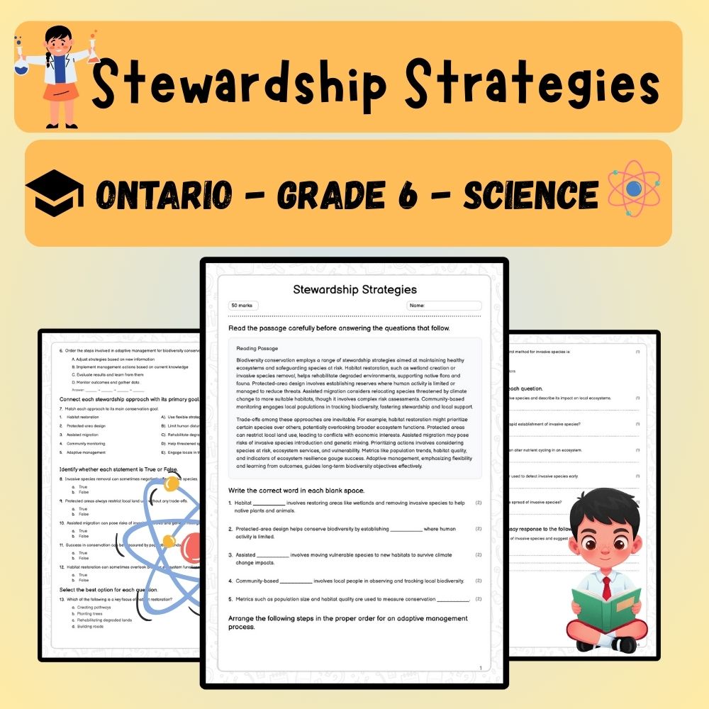 Grade 6 Science worksheet worksheet — 6th Grade Science | Stewardship Strategies Worksheet (PDF ) — page 1