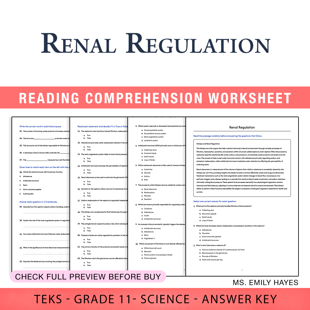 Grade 11 Science worksheet worksheet — 11th Grade Science | Renal Regulation Worksheet (PDF+ Answer Key) — page 1