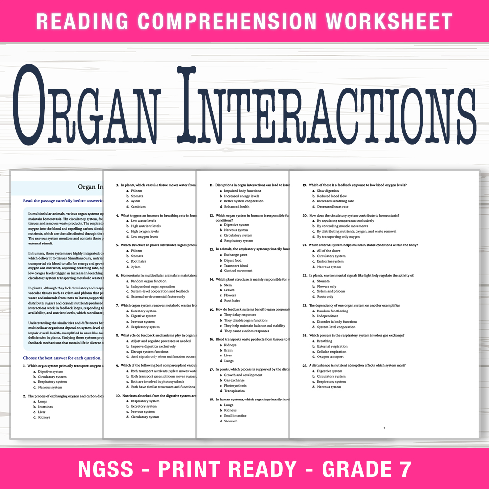 Grade 7 Science worksheet worksheet — Grade 7 Science | Organ Interactions Worksheet (PDF + Answer Key) — page 1