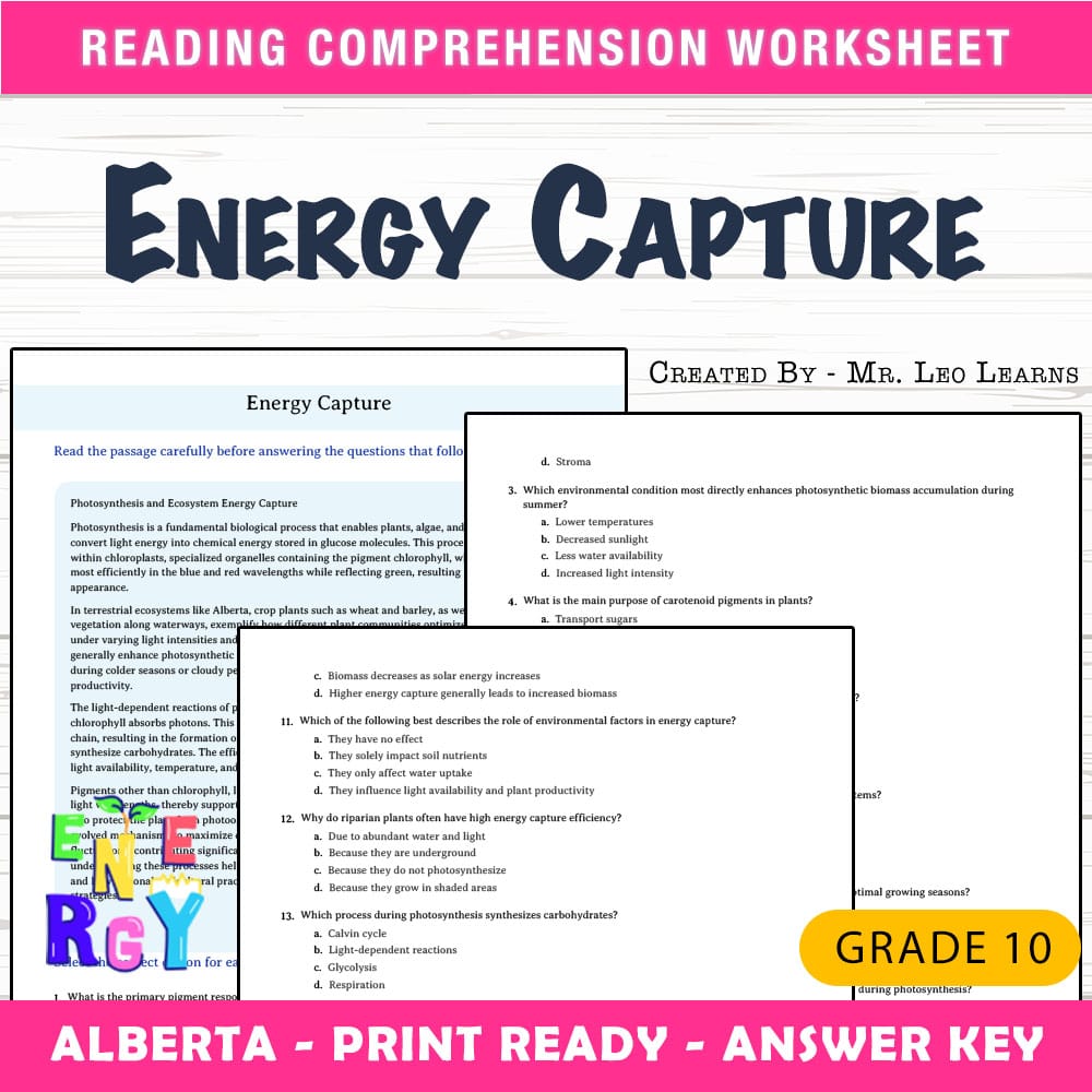 Grade 10 Science worksheet mcq paper worksheet — Grade 10 Science — Energy Capture Worksheet MCQ Paper for Alberta — page 1