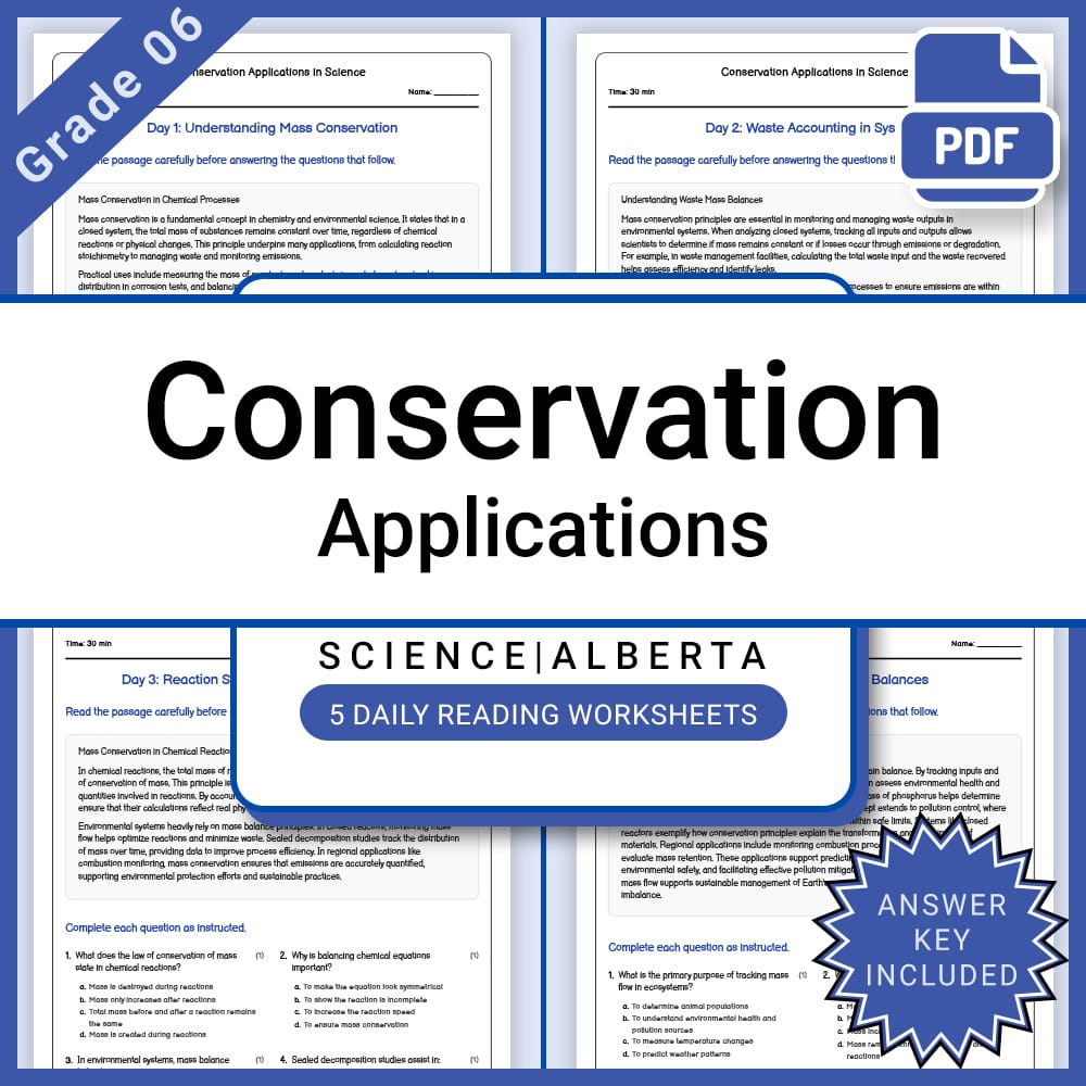 Grade 7 Science Full Year Curriculum Bundle | Structural Engineering & Energy — included worksheet 9