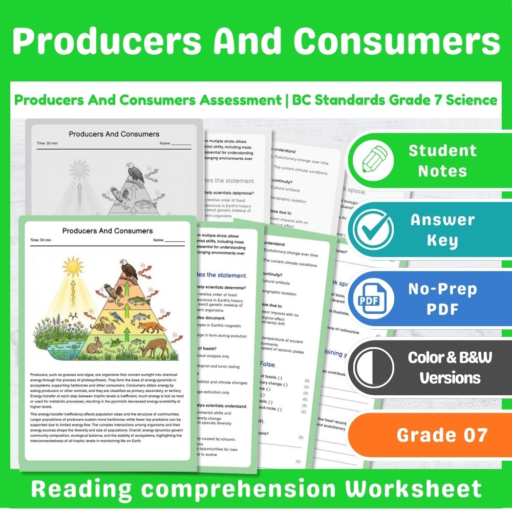 Producers And Consumers Assessment | BC Standards Assessment Grade 7 Science