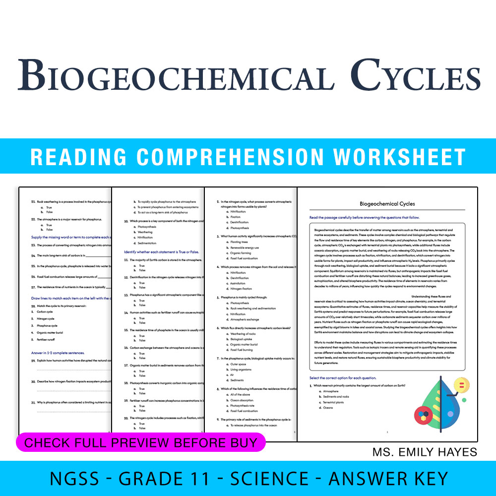 Grade 11 Science — worksheet — Grade 11 Science | Biogeochemical Cycles Worksheet (PDF+ Answer Key) — page 1