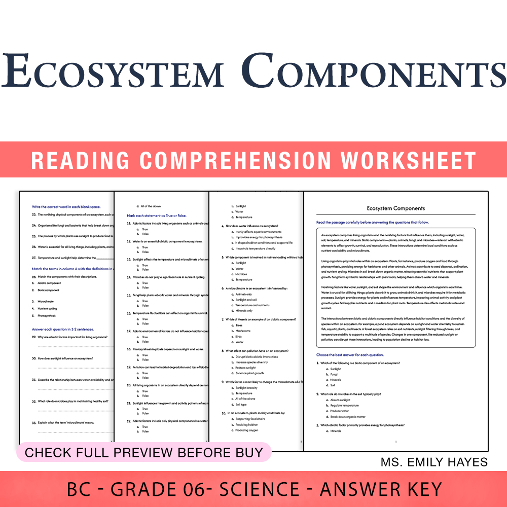 Grade 6 Science worksheet worksheet — 6th Grade Science | Ecosystem Components Worksheet (PDF+ Answer Key) — page 1