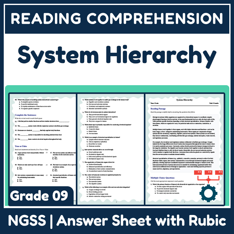 Grade 9 Science reading worksheets worksheet — Grade 9 Science | System Hierarchy Reading Worksheet (PDF + Answer Key) — p…