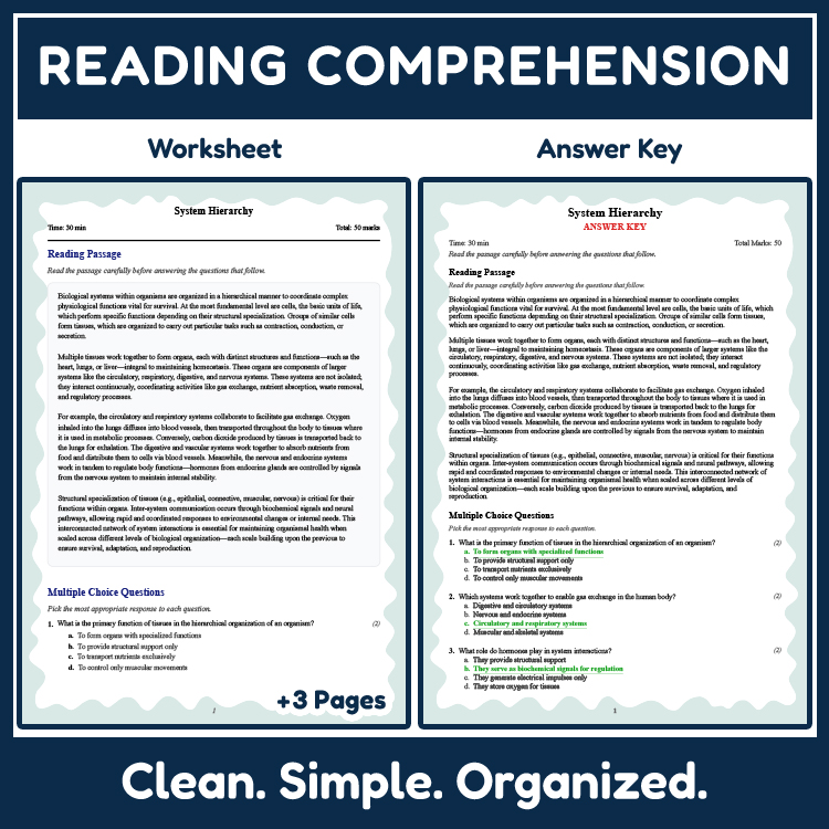Grade 9 Science reading worksheets worksheet — Grade 9 Science | System Hierarchy Reading Worksheet (PDF + Answer Key) — p…