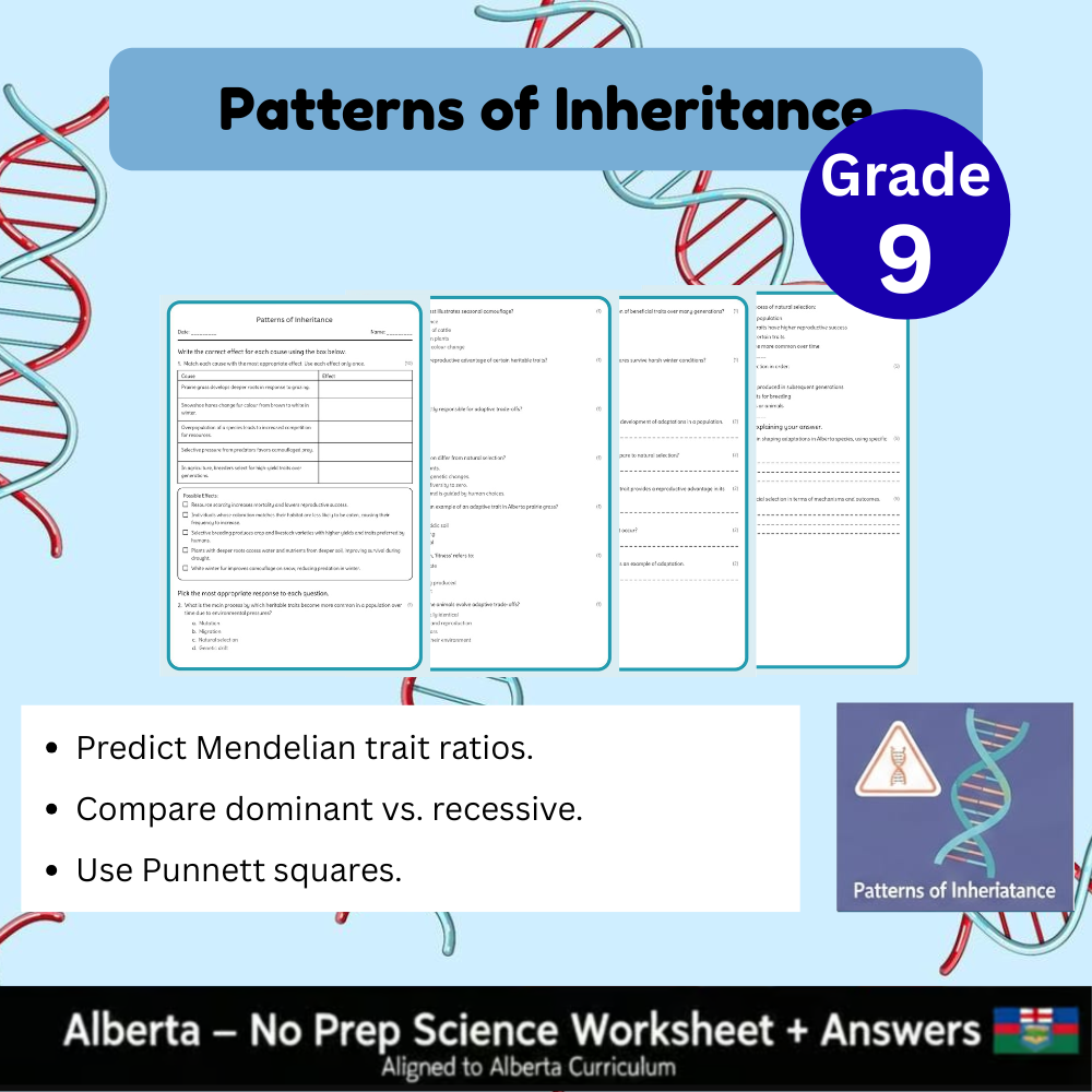 Grade 9 Science Worksheet Bundle | Genetics, Chemistry & Physics Concepts — included worksheet 8