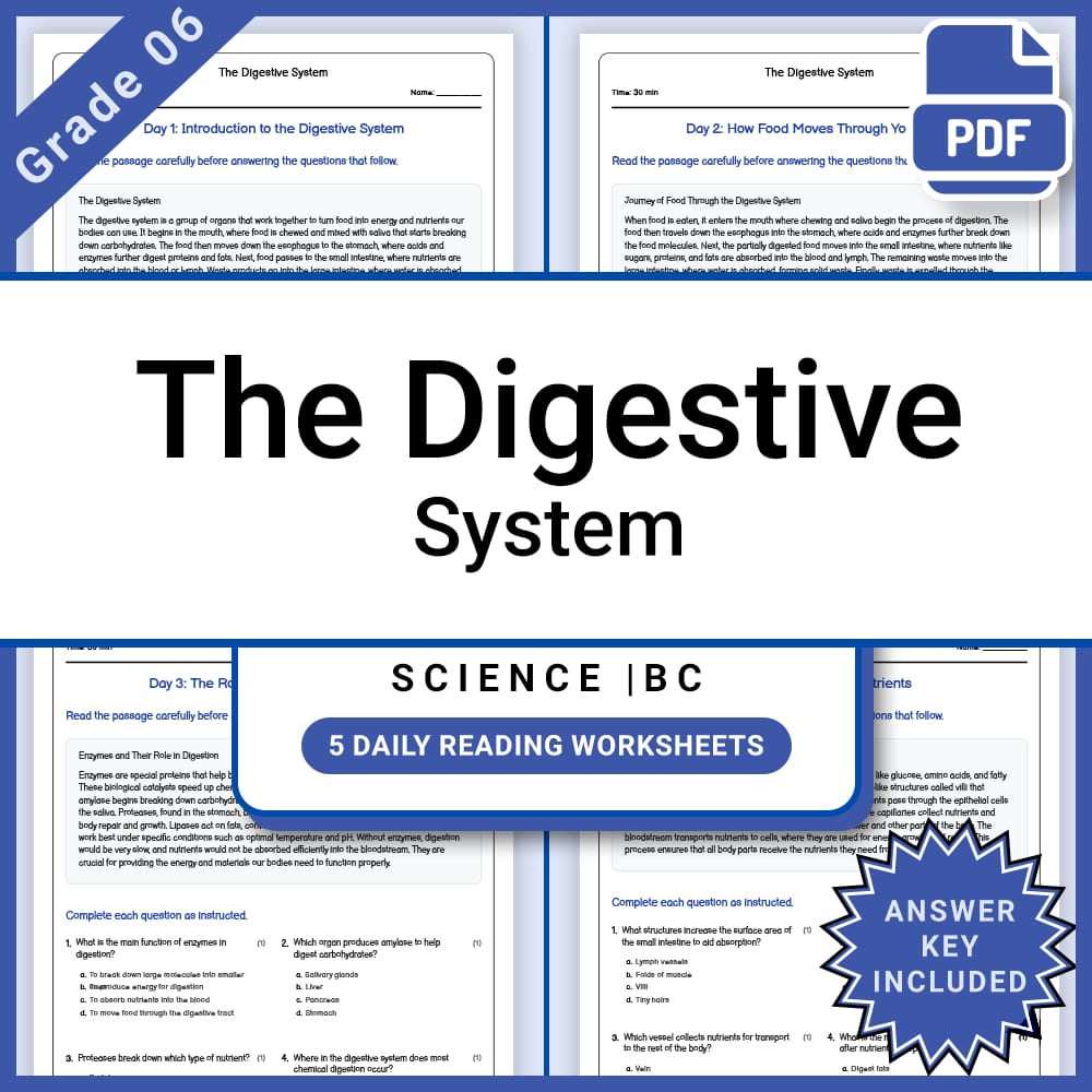 Grade 6 Science Full Year Bundle | Body Systems, Waves, Ecology & More — included worksheet 9
