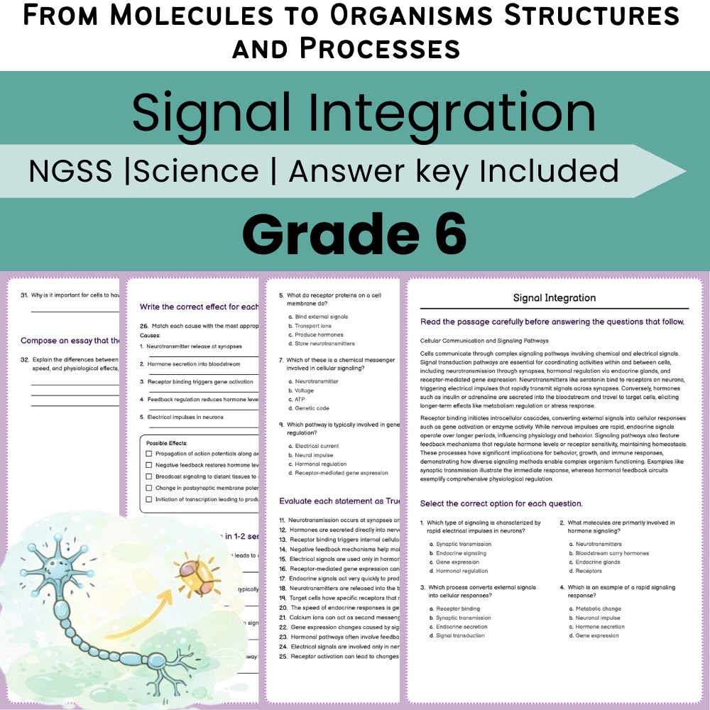 Grade 6 Science NGSS Worksheet Bundle | Comprehensive STEM Practice Pack — included worksheet 11