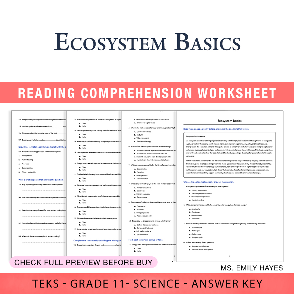 Grade 11 Science worksheet worksheet — 11th Grade Science | Ecosystem Basics Worksheet (PDF+ Answer Key) — page 1