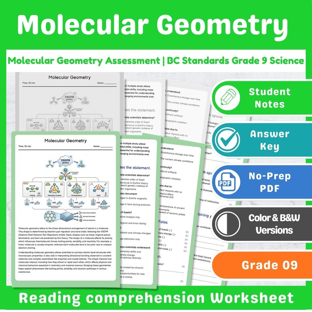 Grade 9 Science Mini Bundle | Chemical Reactions Assessment – BC Standards — included worksheet 3