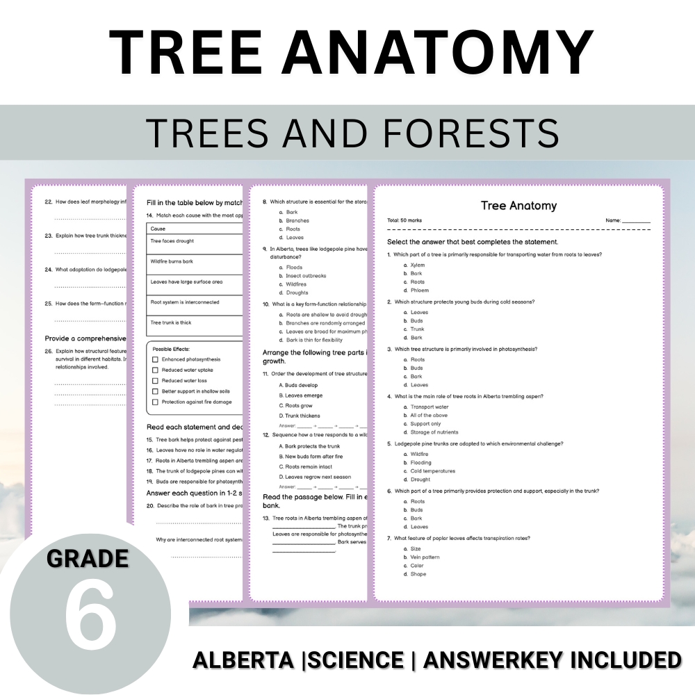 Grade 6 Science | Tree Anatomy, Ecology & Conservation Unit Worksheet Bundle — included worksheet 6