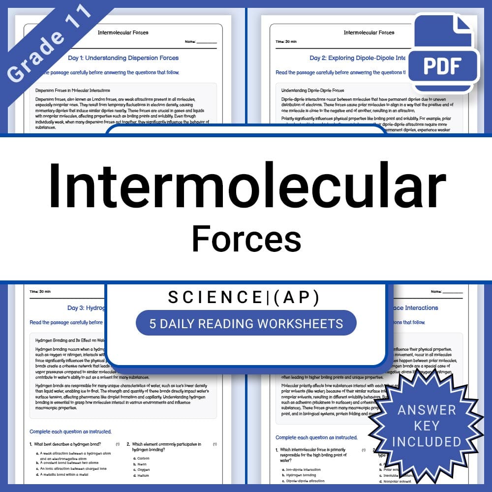 AP Physics Principles Activities & Worksheets | Grade 11 Advanced Placement  — included worksheet 6
