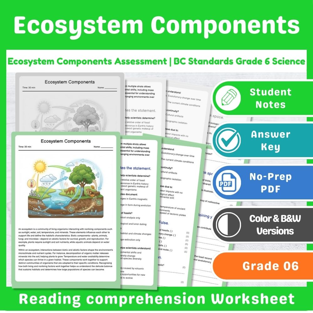 Grade 6 Science – Ecosystems Assessment & Ecology Lesson Bundle | Standards-Aligned — included worksheet 4