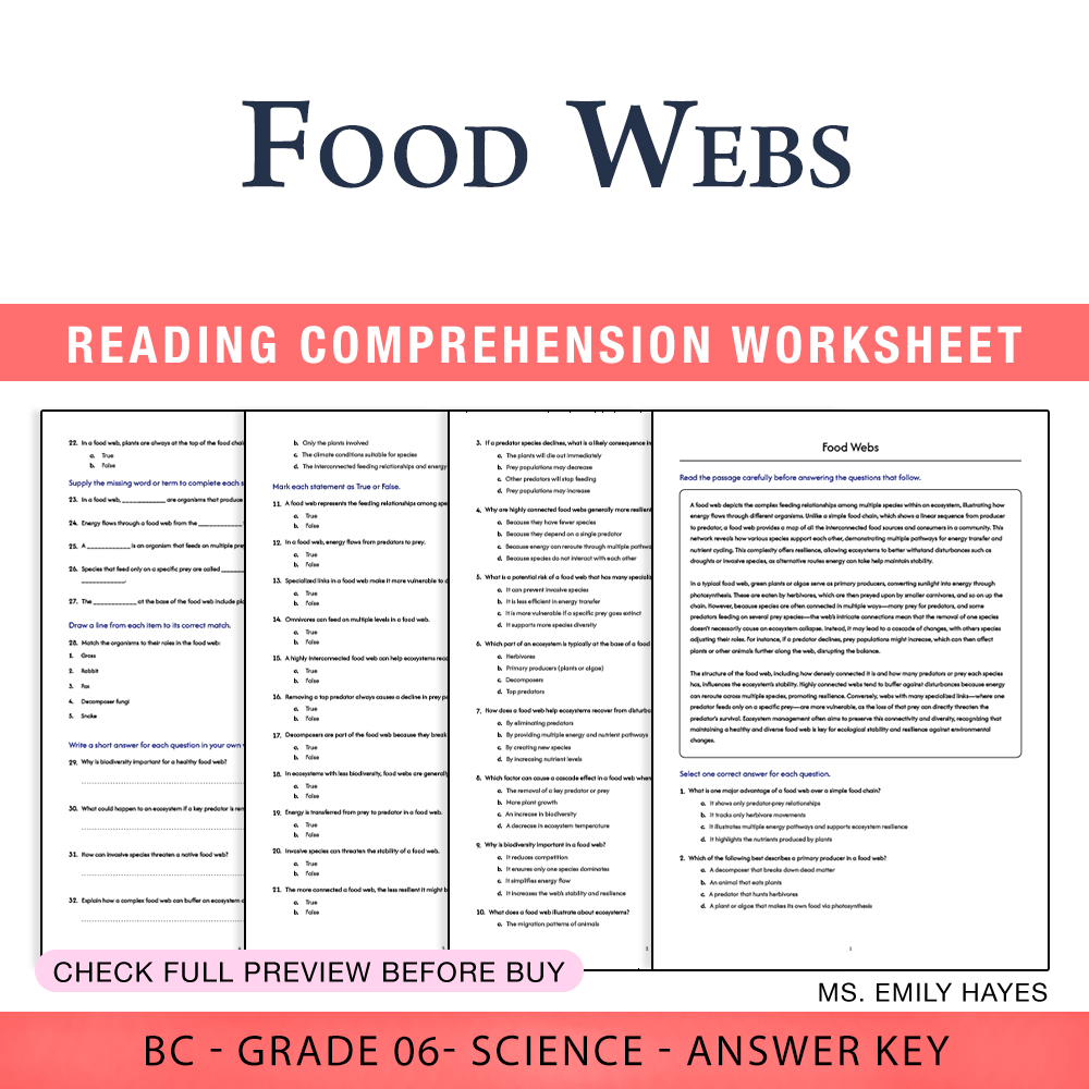 Grade 6 Science worksheet worksheet — 6th Grade Science | Food Webs Worksheet (PDF+ Answer Key) — page 1