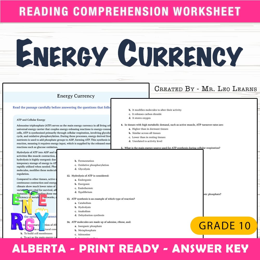 Grade 10 Science worksheet mcq paper worksheet — Grade 10 Science — Worksheet MCQ Paper for Mastering Energy Currency — pa…